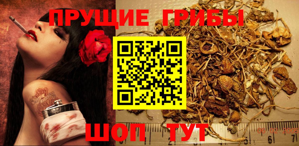 Галлюциногенные грибы Cubensis Шелехов